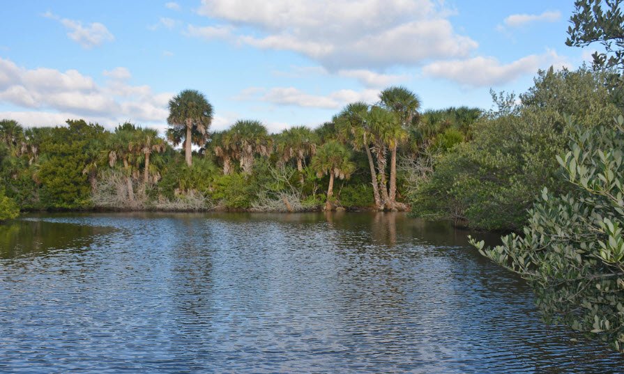 North Peninsula State Park, Florida, USA